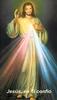 *SPANISH* Divine Mercy Chaplet Prayer Card(FOR THOSE UNABLE TO ATTEND MASS)***ONEFREECARDFOREVERYCAR